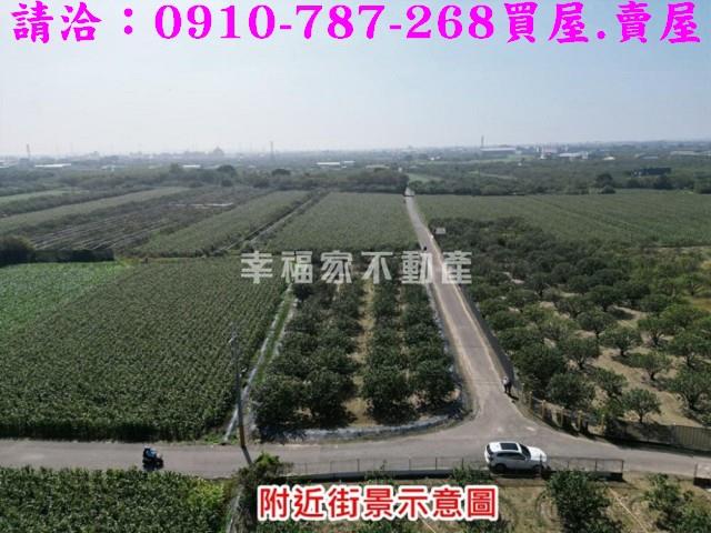 麻豆農地-11