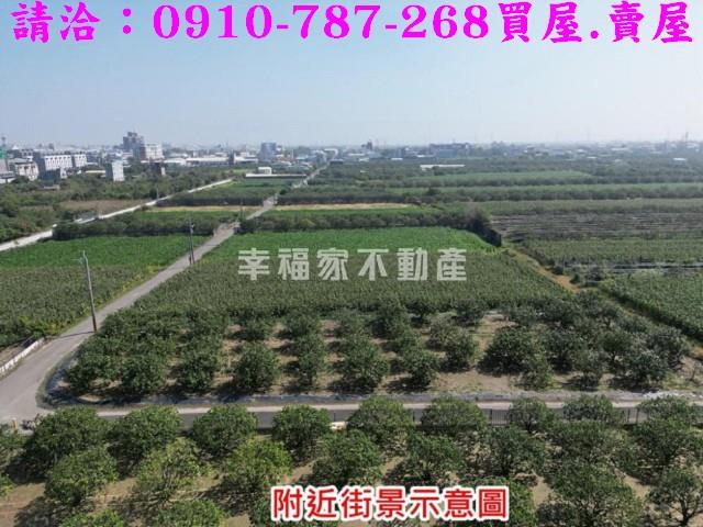 麻豆農地-12