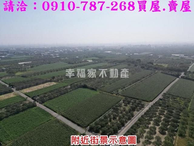 麻豆農地-13