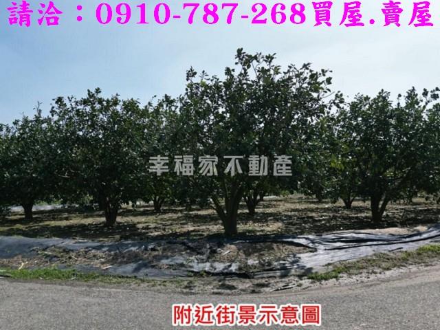麻豆農地-14