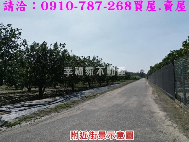 麻豆農地-0