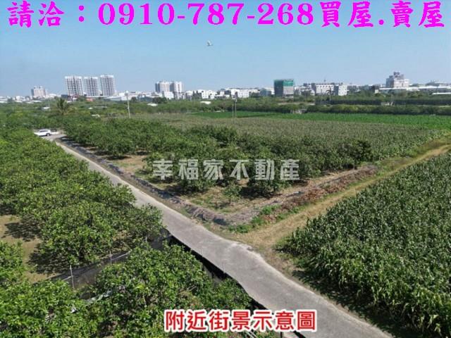 麻豆農地-1