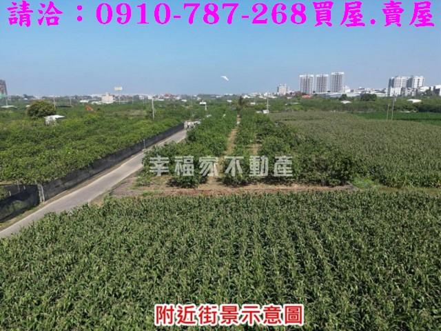 麻豆農地-2