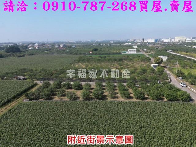 麻豆農地-6