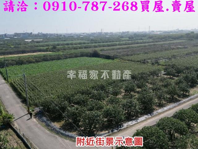 麻豆農地-7