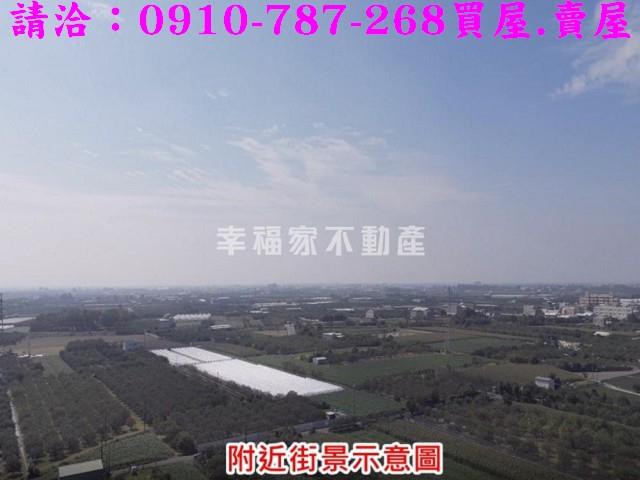 麻豆農地-9