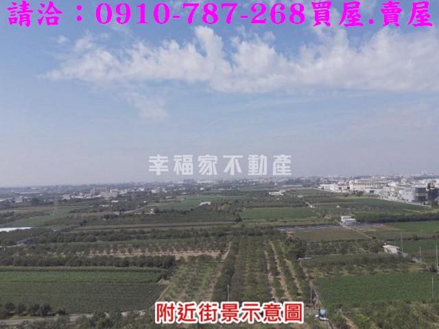 麻豆農地-10