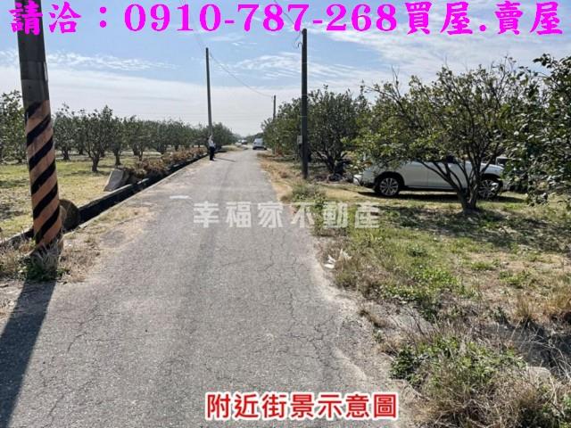 麻豆農地-1