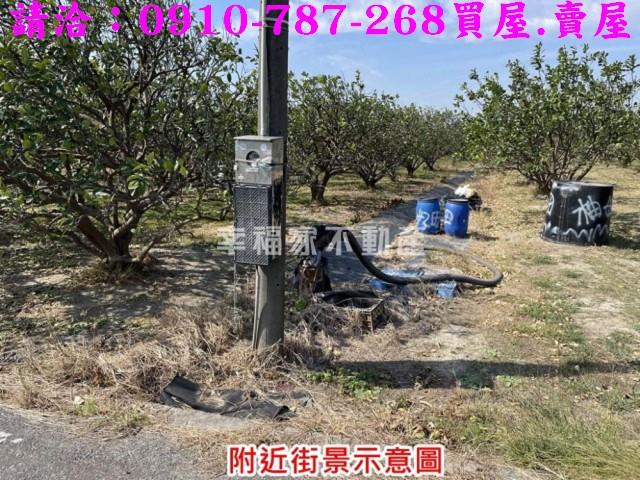麻豆農地-2