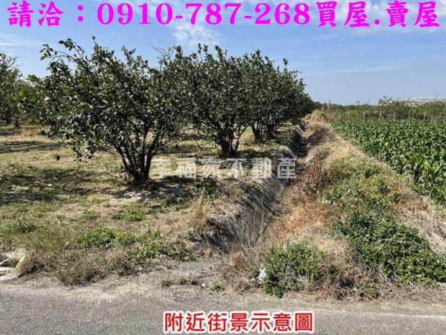 麻豆農地-3