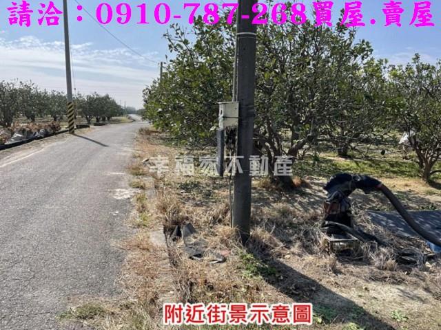 麻豆農地-6