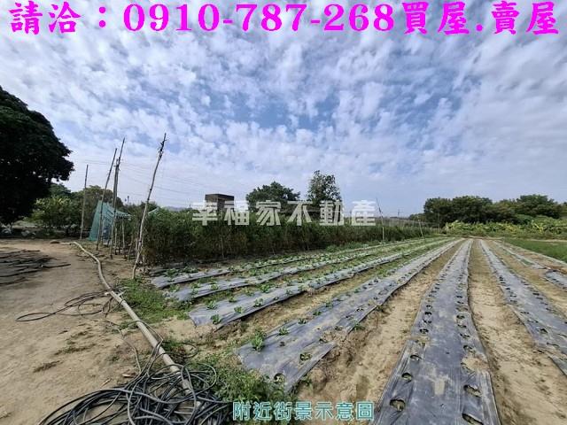 玉井農地-9