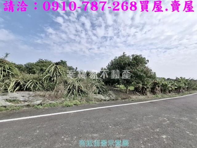 玉井農地-10