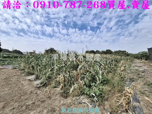 玉井農地-11