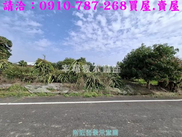 玉井農地-12