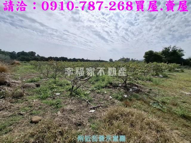 玉井農地-13