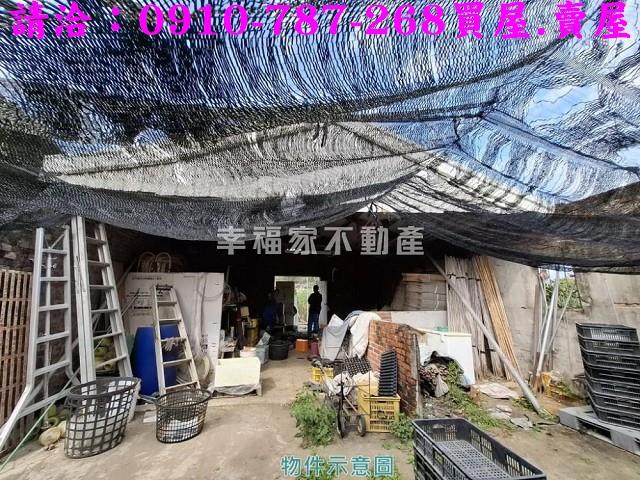 玉井農地-3