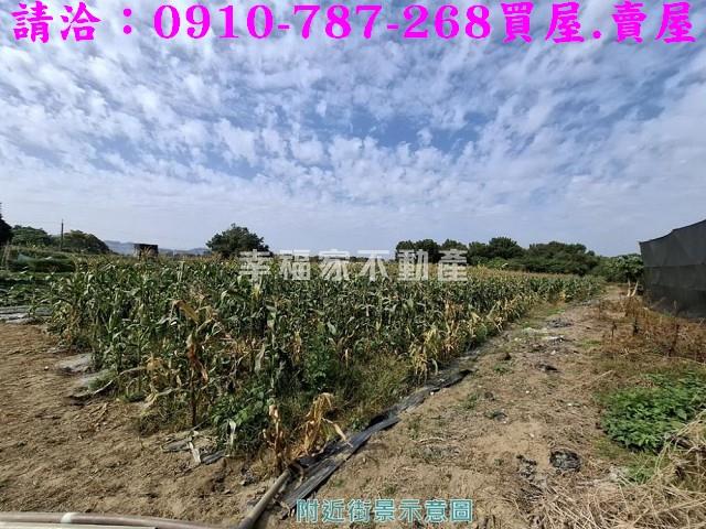 玉井農地-6