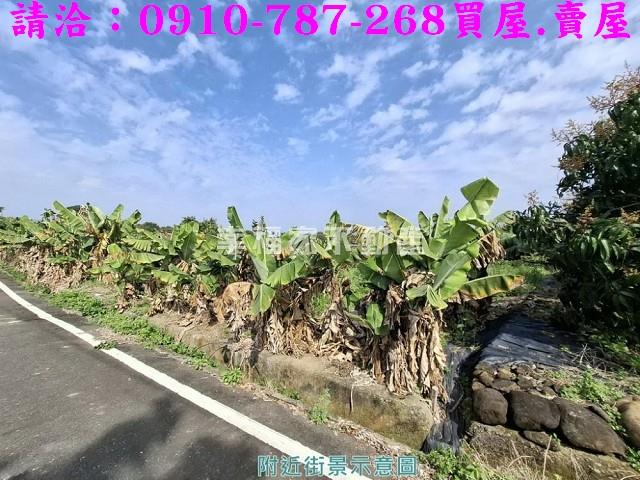 玉井農地-7