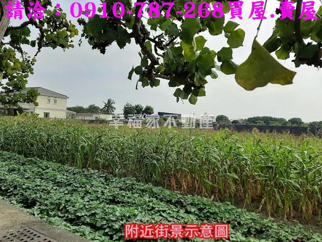 安南農地-4