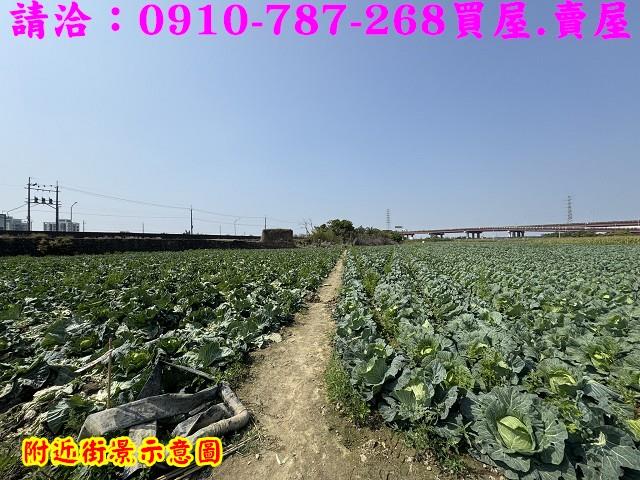 新市農地-11