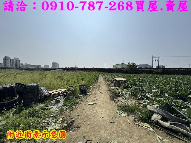 新市農地-12