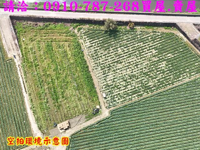 新市農地-4