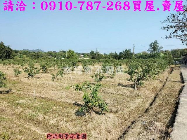 燕巢農地-11
