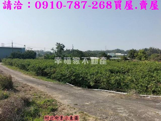 燕巢農地-12