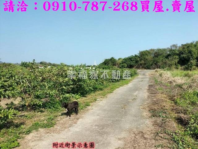 燕巢農地-2