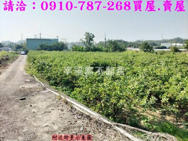 燕巢農地-5