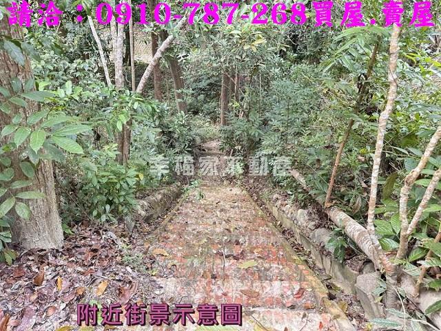 左鎮農地-10