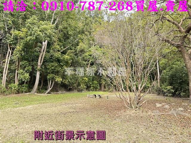 左鎮農地-11