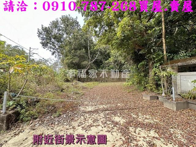 左鎮農地-12