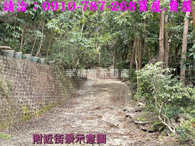 左鎮農地-6