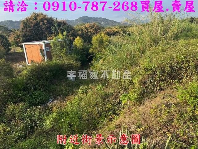 台南農地-9