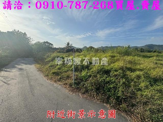 台南農地-4
