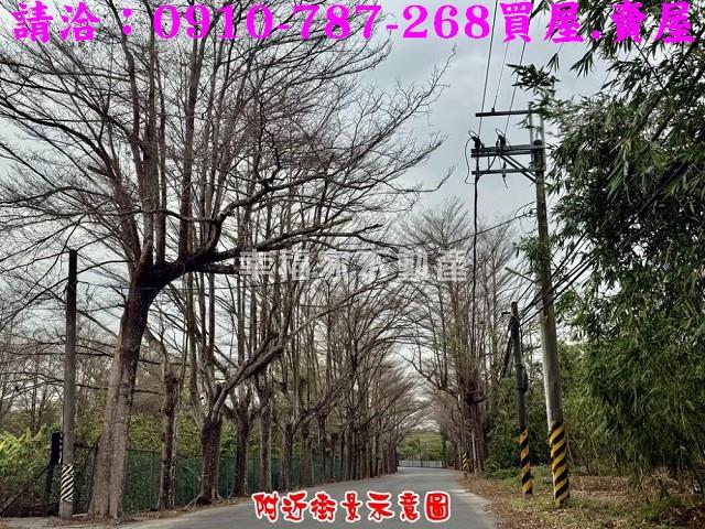 歸仁農地-10