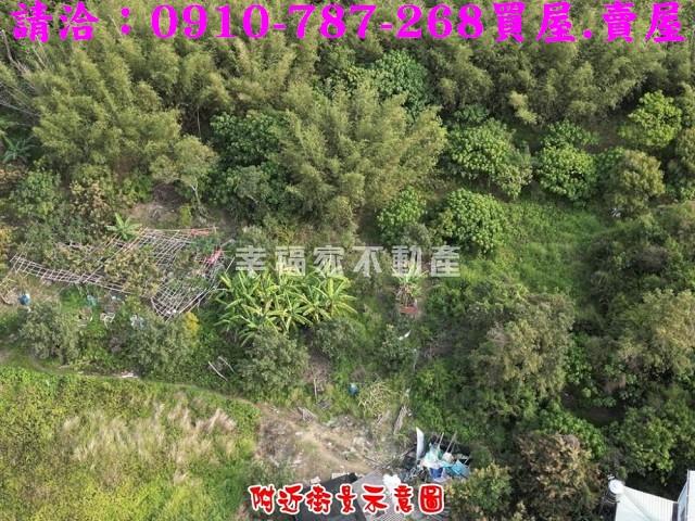 歸仁農地-5