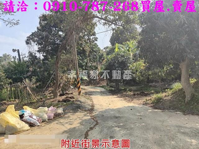 玉井農地-9