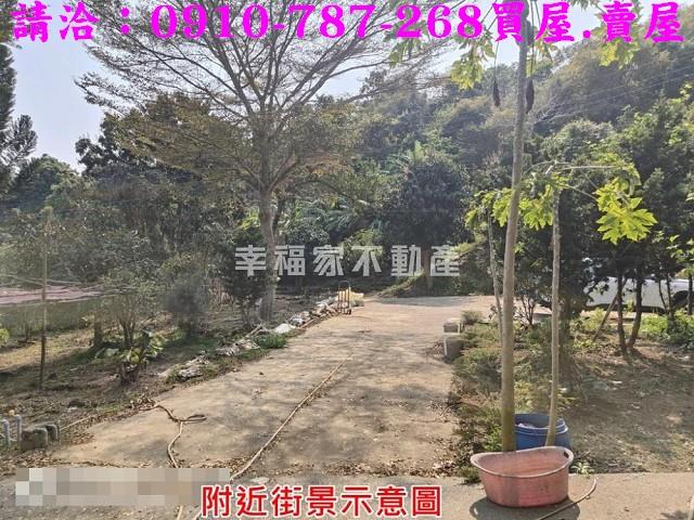 玉井農地-13