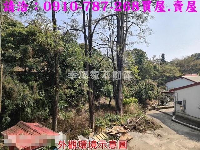 玉井農地-14