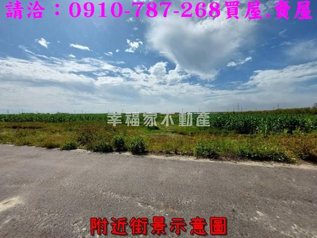 新市農地-4