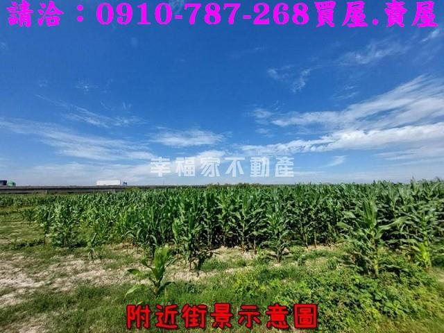 新市農地-5