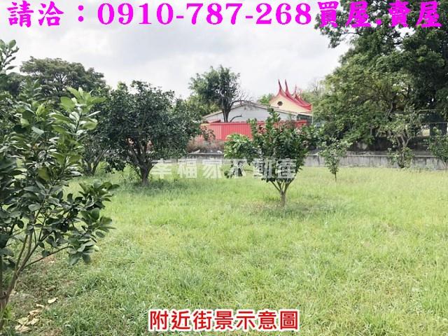 麻豆農地-9