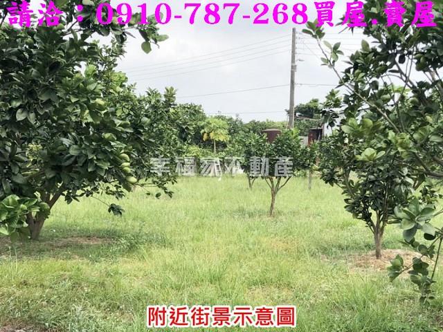 麻豆農地-10