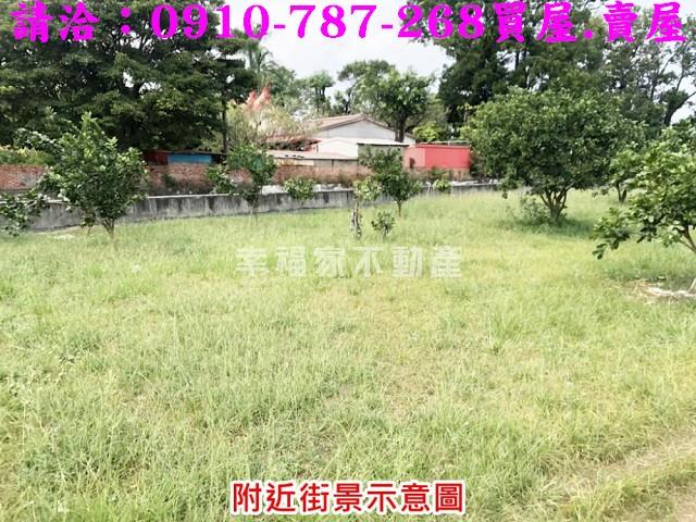 麻豆農地-4