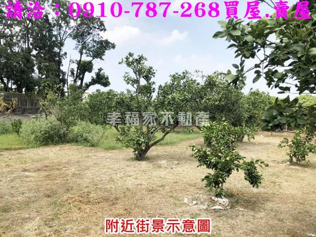 麻豆農地-5