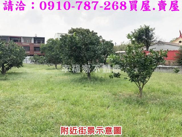 麻豆農地-6