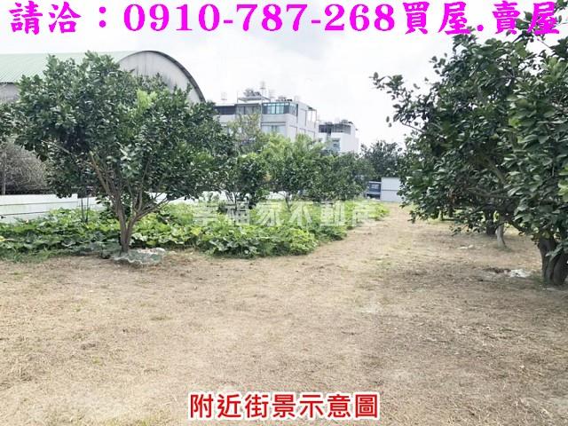 麻豆農地-7